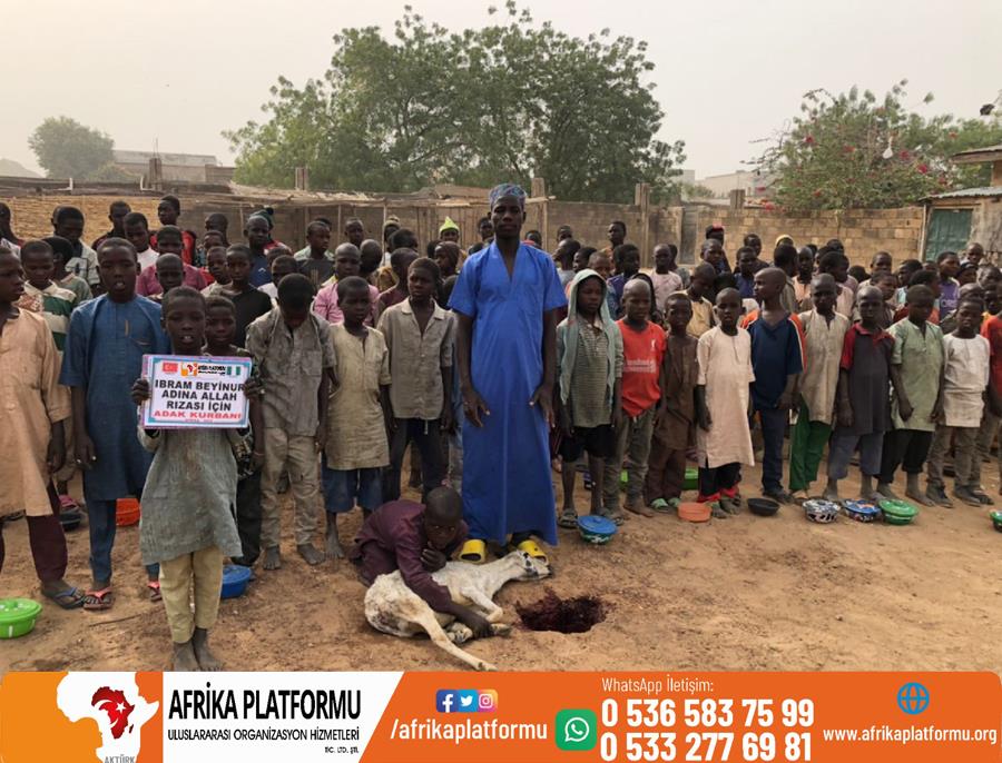 Afrika Kurban Kesimi 24