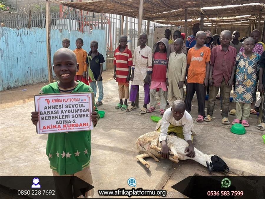 Afrika Kurban Kesimi 34