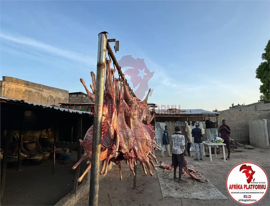 Afrika Kurban Kesimi 6