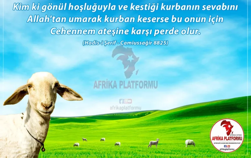 Kurban Kesme Hakkında Ayet Ve Hadisler